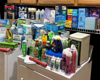 Mega Cleaning  Essentials Bundle