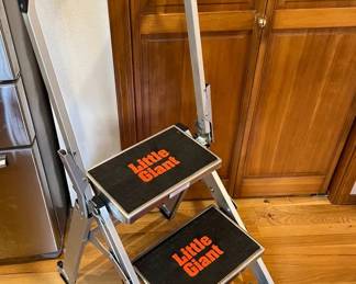 Little Giant Step Ladder
