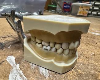 Doctors Dental Impression