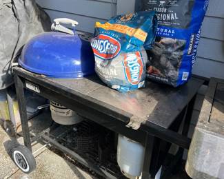 Weber Briquette BBQ With Gas Ignition Briquettes