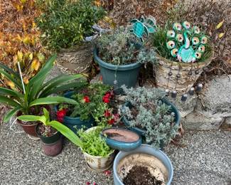 Outdoor Plants Pots With Stained Glass Plant Stakes