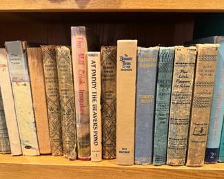 Vintage Bobbsey Twins Hardback Books