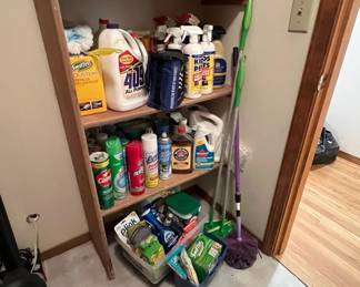 Household Chemical Lot