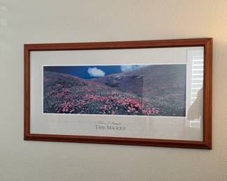 Thomas D. Mangelsen “Tapis Magique” framed panoramic floral landscape photographic print.