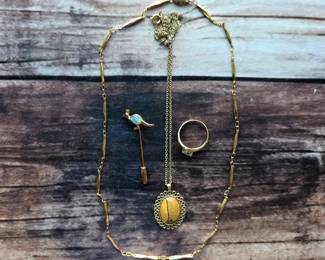A kangaroo stickpin, blue-stone ring, link necklace, and bold oval pendant necklace—an eclectic selection of decorative jewelry and accessories.