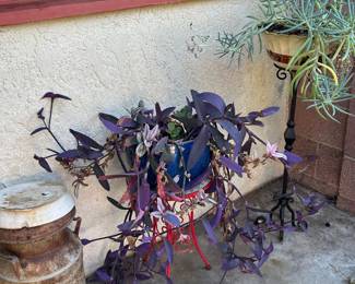 Plants, pots and yard art.
