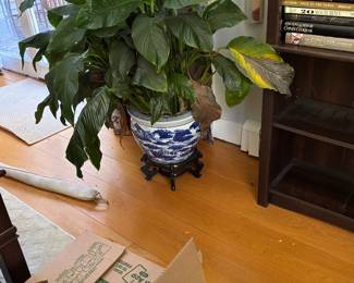 Decor