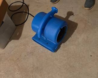 Fan