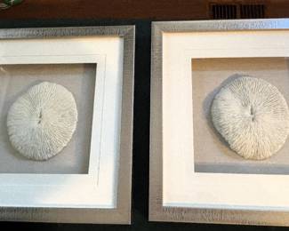 Framed and matted coral pieces.