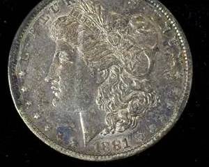 1881-O Morgan Silver Dollar $1 US Coin New Orleans Toned Raw Ungraded Liberty Head