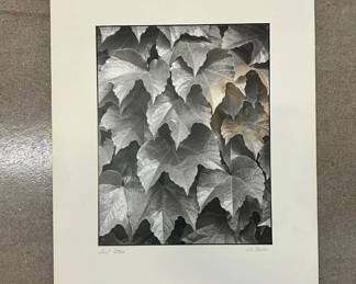 TLot #96 Otto Maurer Signed Vintage Black & White Photograph Leaf Pattern Ivy Silver Gelatin Print Matted
