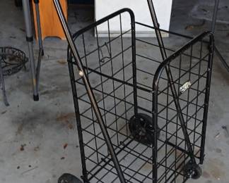 Useful items such as wire shopping buggies.