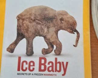 Large selection of National Geographic magazines.