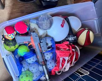 Pool toys