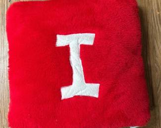 104 redfeltpillowwithwhiteletteri