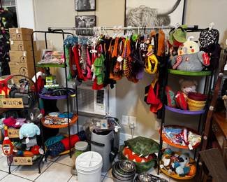 Dog section