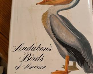Audubons Birds of America