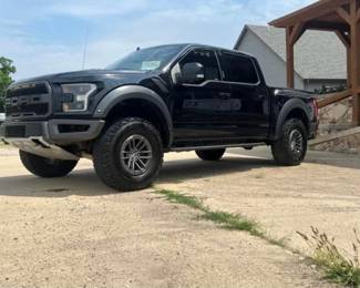 raptor