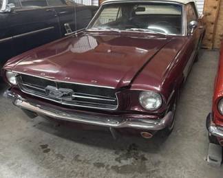 mustang