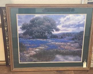 large bluebonnet print