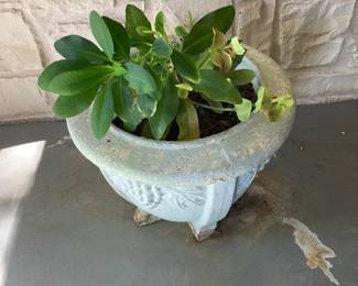 concrete planter