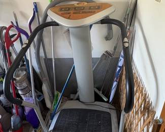 Skyline Vibration Fitness Platform second image