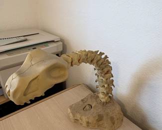 Vintage Lampasaurus Dinosaur Skeleton Desk Lamp