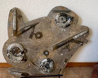 Moroccan Orthoceras and Ammonite Fossil Plate