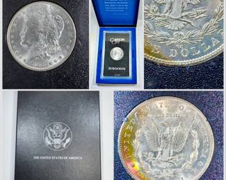 1883 CARSON CITY MORGAN SILVER DOLLAR WITH TONING