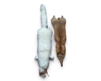 Red and White Fox Pelts