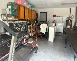 Schwinn Series Treadmill