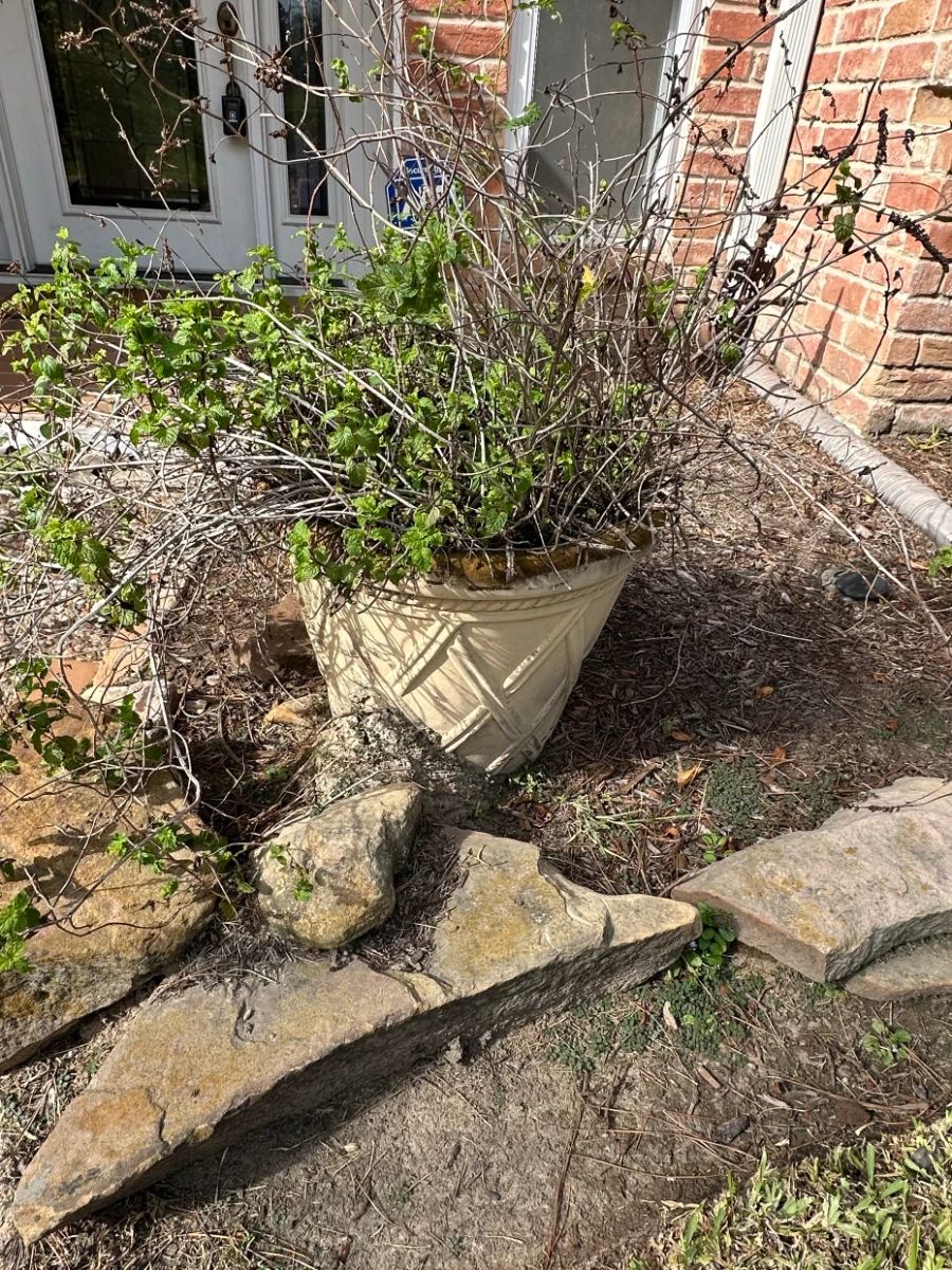 Blue Moon NW Spring Estate Sale – Antiques & More starts on 10/23/2026