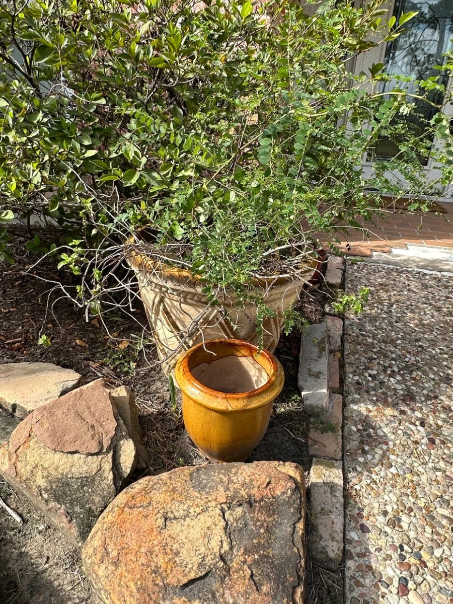 Blue Moon NW Spring Estate Sale – Antiques & More starts on 10/23/2026