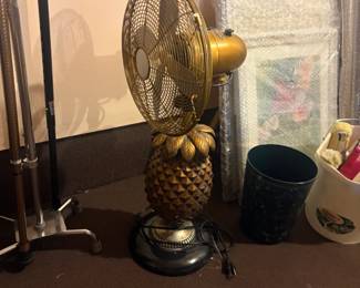. . . a pineapple fan?!  There's a first time for everything!