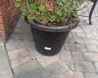 . . . plastic planter