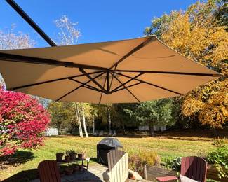 10 foot offset umbrella 