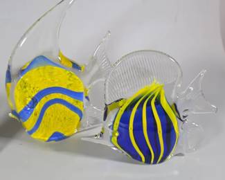 Glass fish
