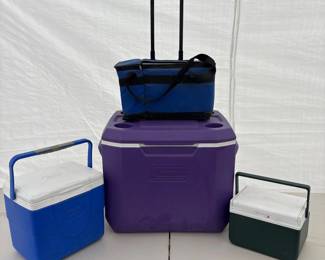 g Set of 4 Cooler Boxes