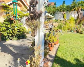 NE115Outdoor Clay Potted Plants  Decor