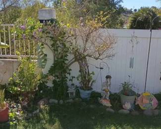 NE114Assorted Plants and Decor