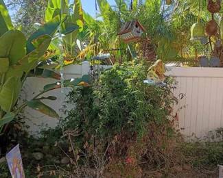 NE112Hanging Backyard Plants and Pots
