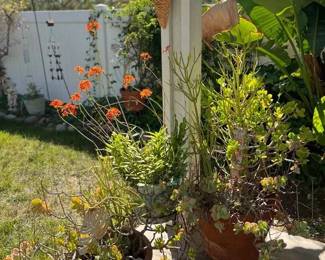 NE116Outdoor Flower Pots With Stands