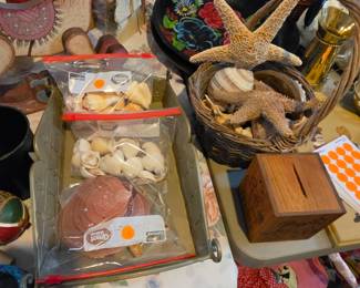 Sea shells