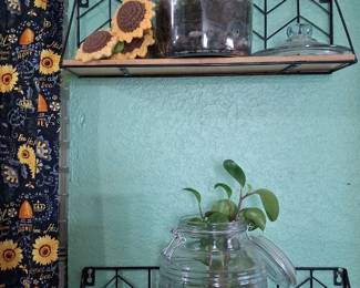 Plants