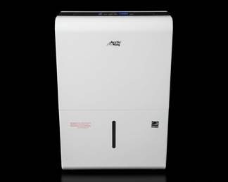 Arctic King Dehumidifier