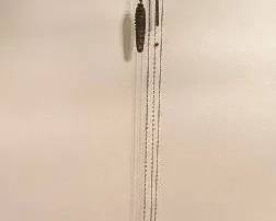 German Cuckoo Clock
