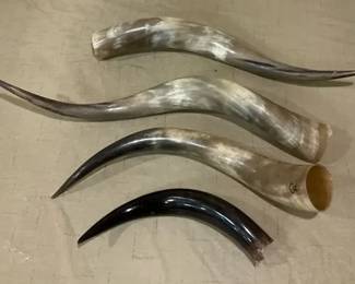 Polished Natural Cattle Horns
