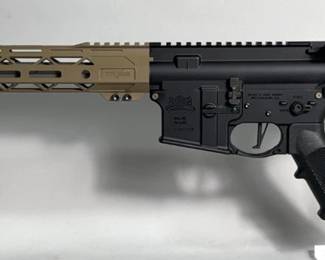Palmetto State Armory PA-15 .223 Rem Rifle SN# LW455588, 'Don't Tread On Me' Printed On Mag Well, Adjustable Stock
