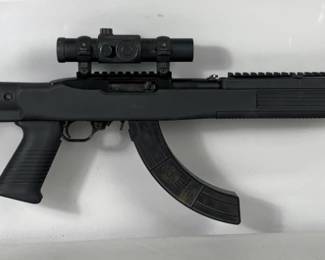 10/22 Style Rifle