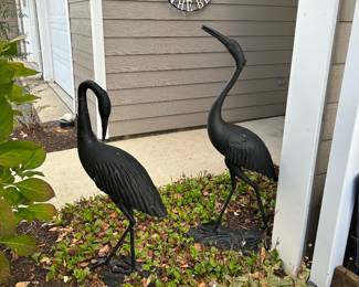 Herons